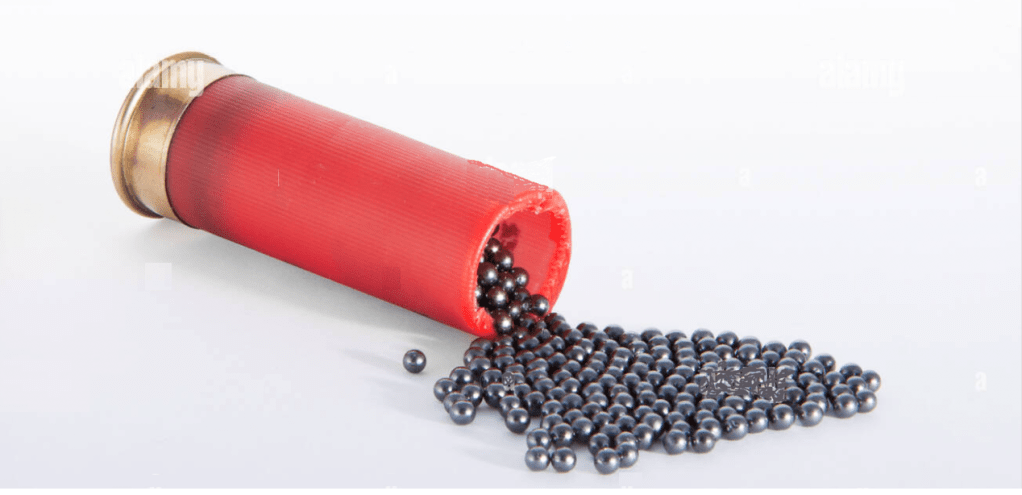 İKİ DİRHEM, BİR&nbsp;ÇEKİRDEK…