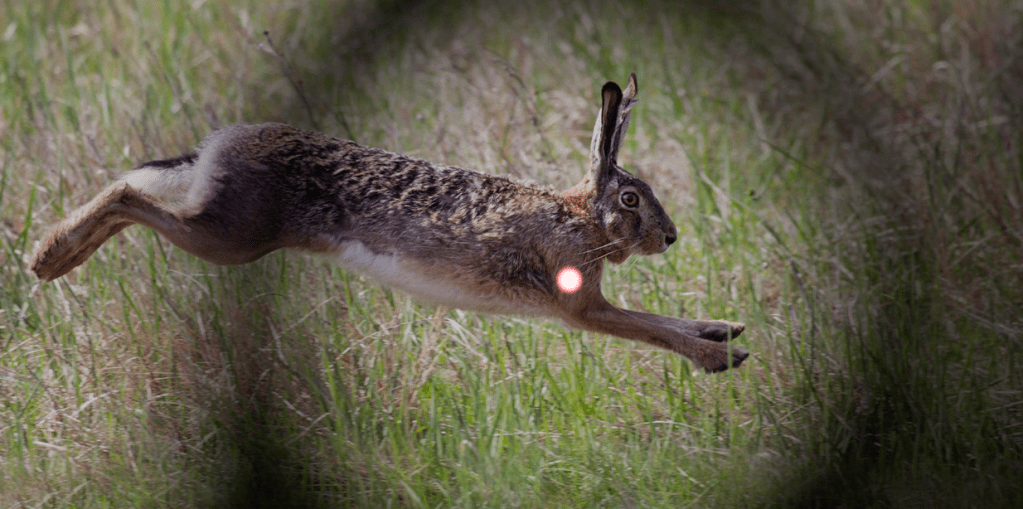 KIRMIZI NOKTA NİŞANGAHLAR ve DOĞRU BİLİNEN&nbsp;YANLIŞLAR